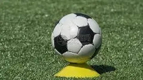 开云体育在线 资讯 113958 hru