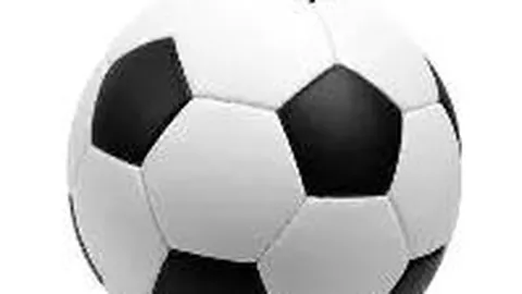 开云体育在线 产品 134510 sal