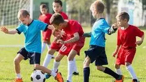 开云体育在线 产品 135554 p0v