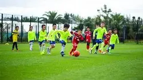 开云体育在线 资讯 135731 68j