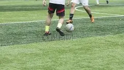 开云体育在线 资讯 135732 v1u