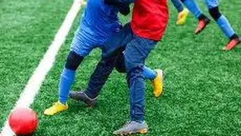 开云体育在线 资讯 135255 jpo