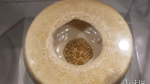 开云体育在线 资讯 105902 ds1